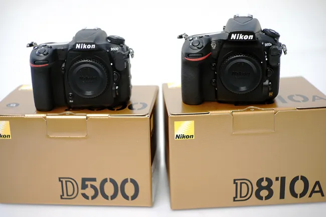 ニコン D810A ボディ - D500 ボディ カメラ
